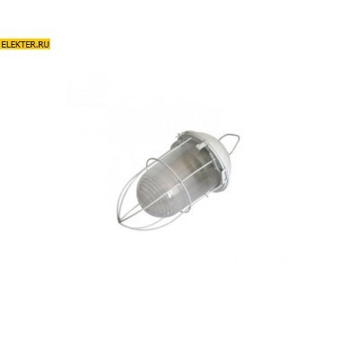 НСП 02-100-003 ЭРА Светильник с решеткой Желудь сталь стекло IP54 E27 max 100Вт 170x300 белый арт Б0052019 - фото 17474