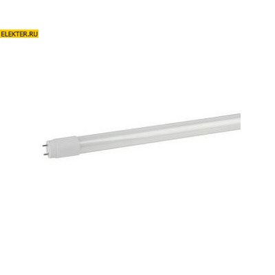 Лампа светодиодная ЭРА LED smd T8-10w-840-G13 600mm (поворотный цоколь) арт Б0032999 - фото 20006