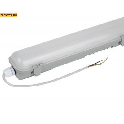 Линейный светодиодный светильник ЭРА SPP-910-3-65K-040 40Вт 6500K IP65 1200мм арт Б0056745 - фото 26045