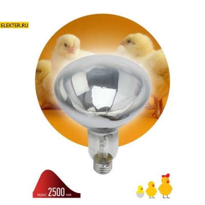 Инфракрасная лампа для обогрева животных 250Вт Е27 ИКЗ 220-250 R127 220 ЭРА арт Б0042991 - фото 27459
