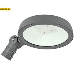 Уличный консольный светодиодный (LED) светильник ДКУ Парк 2001-40Д 5000К IP65 IEK арт LDKU0-2001-040-5000-K02