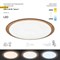 Светильник потолочный светодиодный ЭРА Классик с ДУ SPB-6-60-RC "Saturn" 60Вт 3000-6500К 4800Лм коричневый кант арт Б0030132 - фото 14418