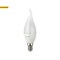 Лампа светодиодная ЭРА LED BXS-5w-840-E14 "Свеча на ветру" арт Б0027968 - фото 20011