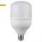 Лампа светодиодная ЭРА LED POWER 40W-6500-E27 "Колокол" арт Б0027006 - фото 20050